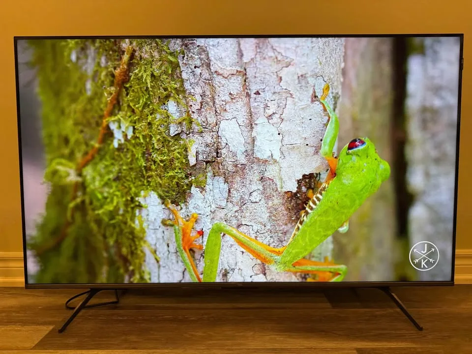 TCL 55” 4K QLED SMART GOOGLE TV image indicator(3)