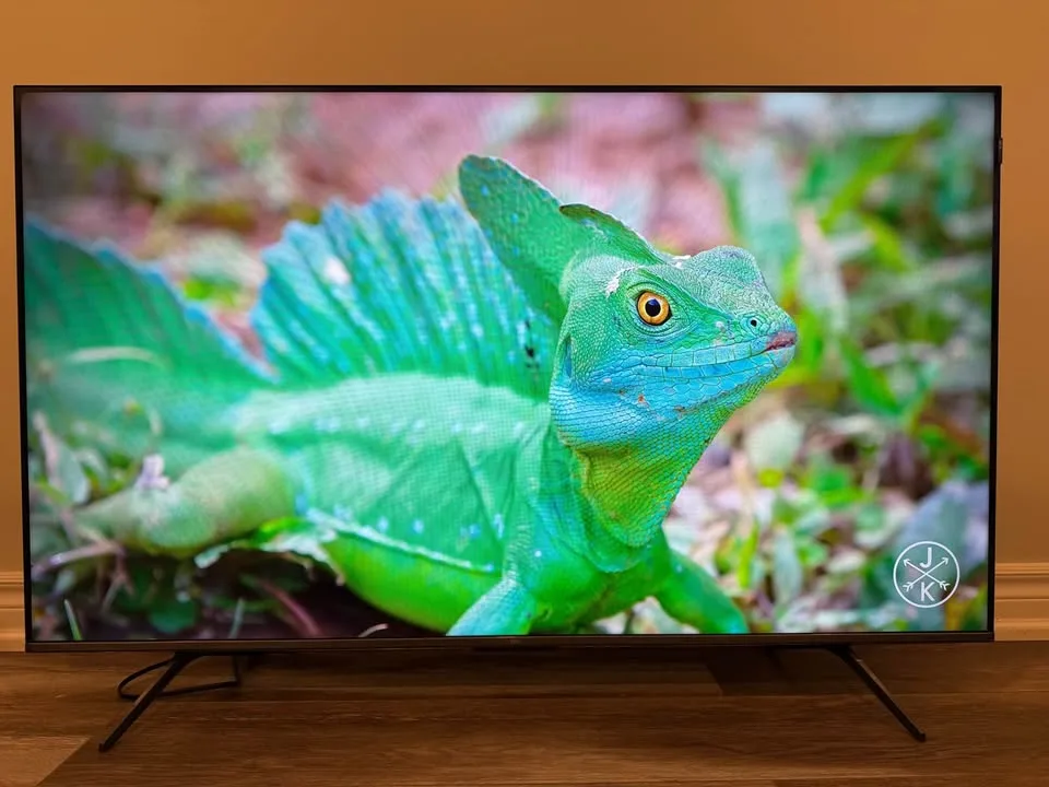 TCL 55” 4K QLED SMART GOOGLE TV image indicator(4)