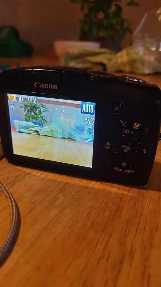 Canon PowerShot SX120 IS Digital Camera image indicator(3)