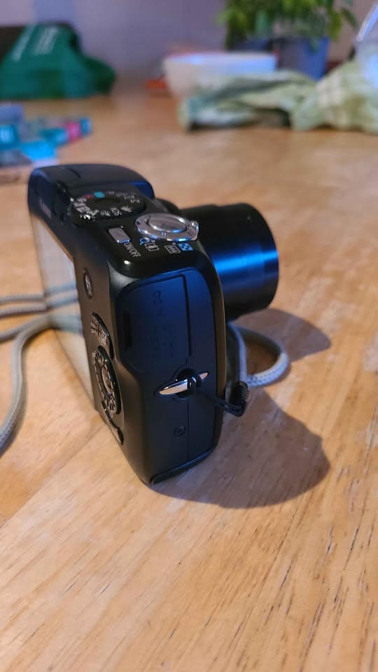 Canon PowerShot SX120 IS Digital Camera - photo 4