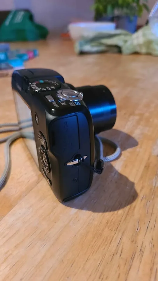 Canon PowerShot SX120 IS Digital Camera image indicator(4)