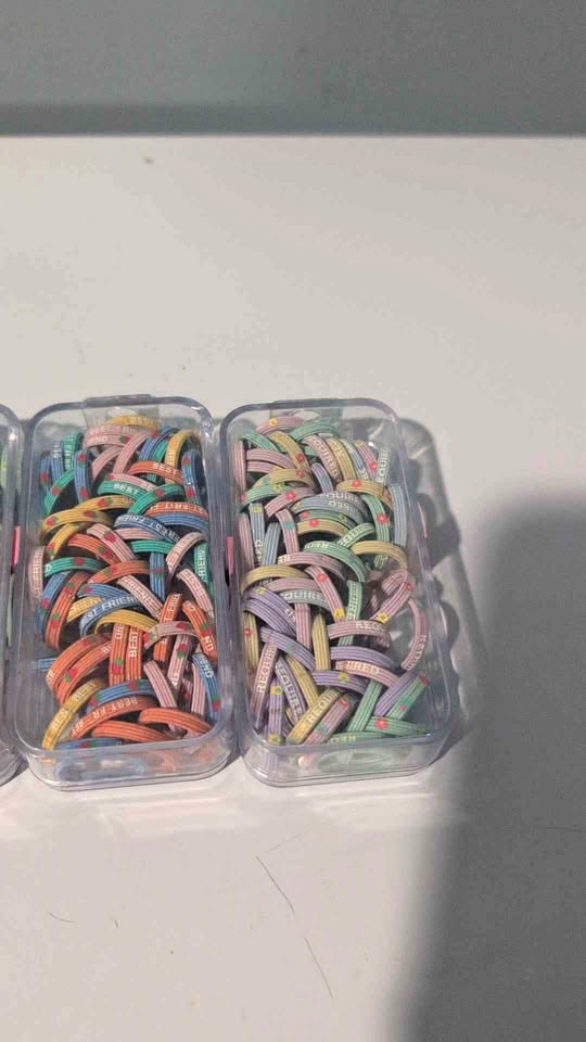 Colorful Elastic Hair Bands in Clear Case