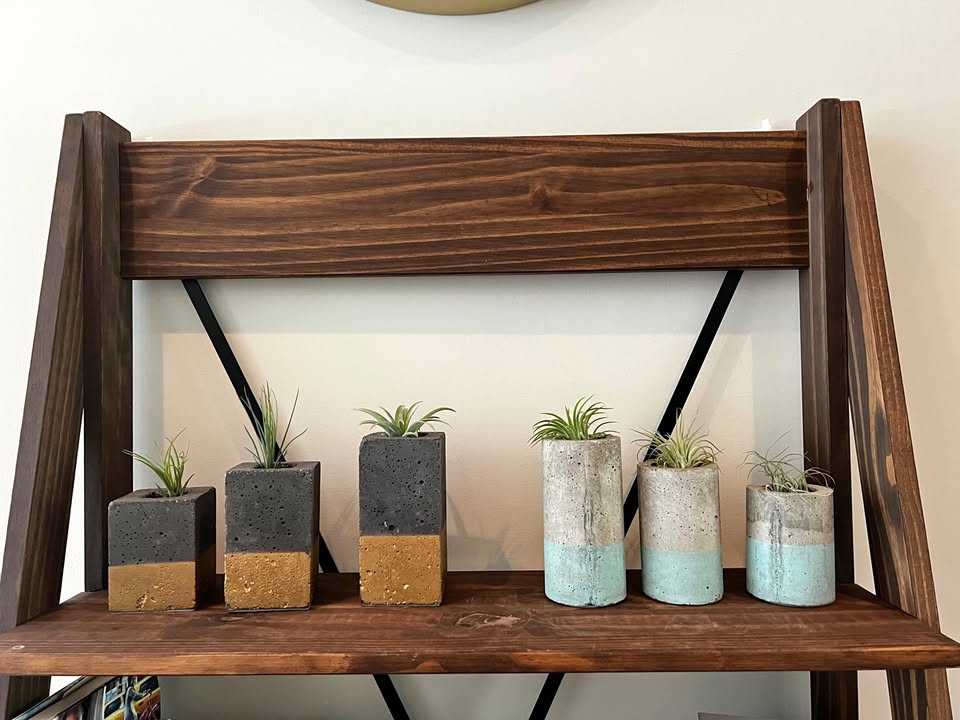 6 Succulent / Air Plant Planters