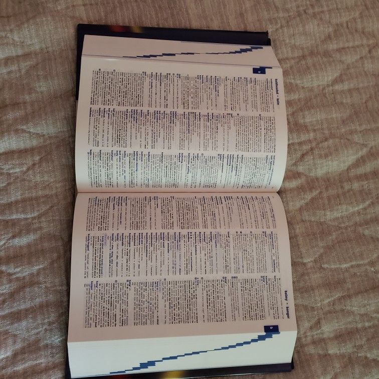 Spanish Dictionary - photo 3