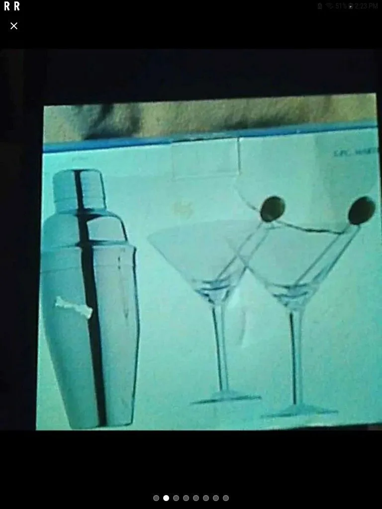 5 piece martini set