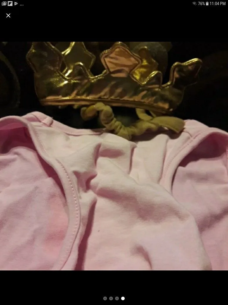 Dog costume image indicator(4)