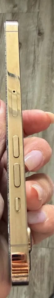 iPhone 13 Pro image indicator(3)