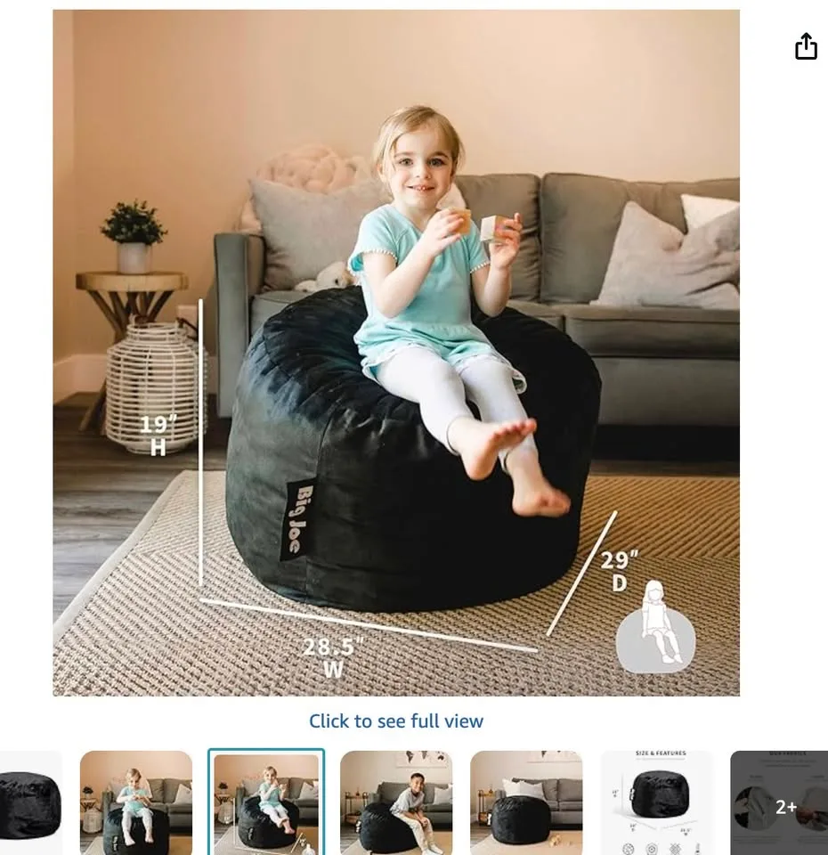 Plush Bean Bag Chair