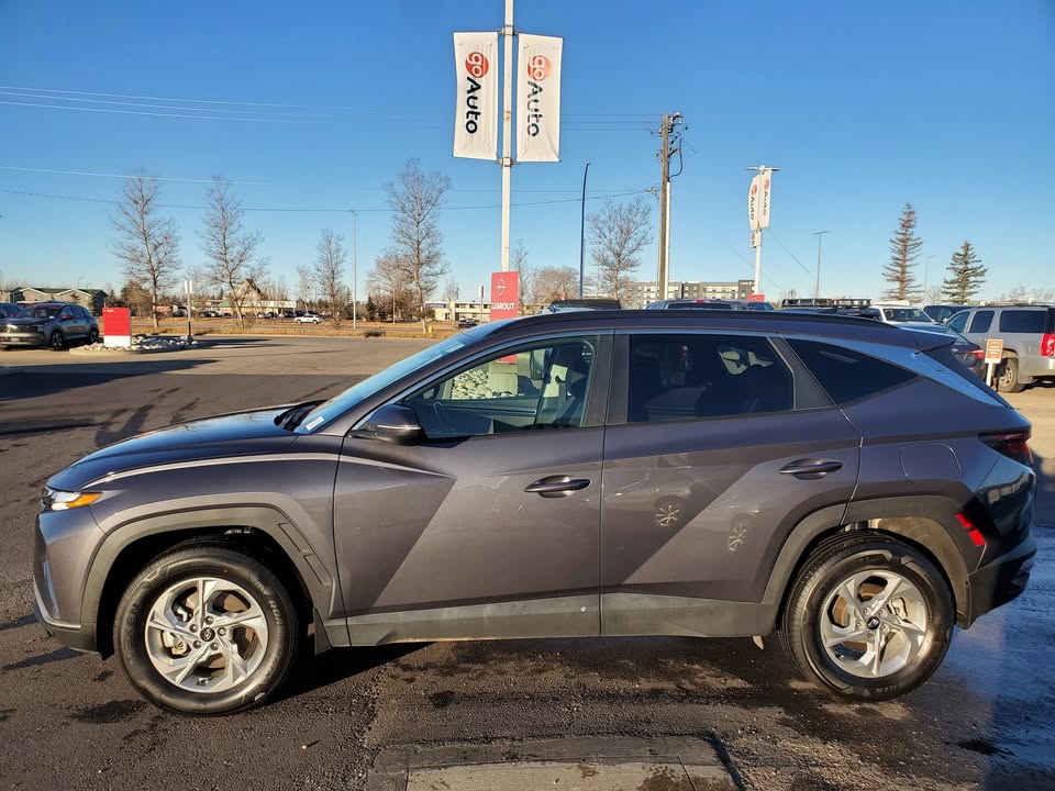 2024 Hyundai Tuscon - photo 2