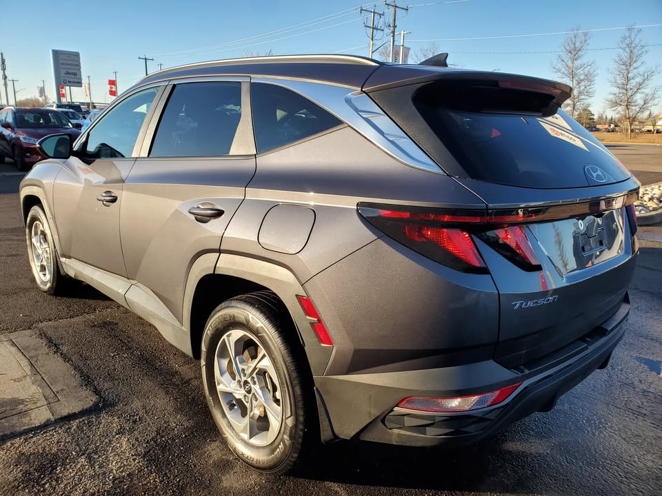 2024 Hyundai Tuscon - photo 3
