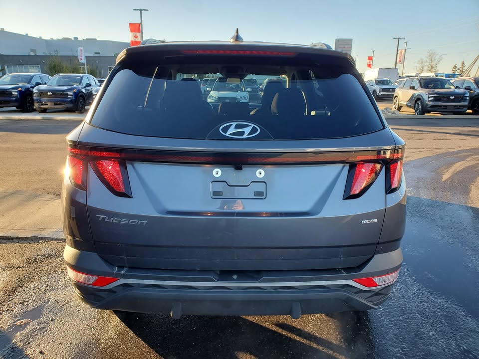 2024 Hyundai Tuscon - photo 4