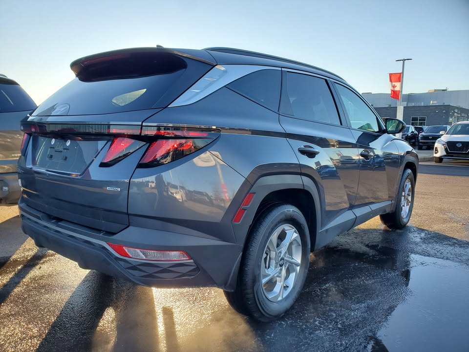 2024 Hyundai Tuscon - photo 5