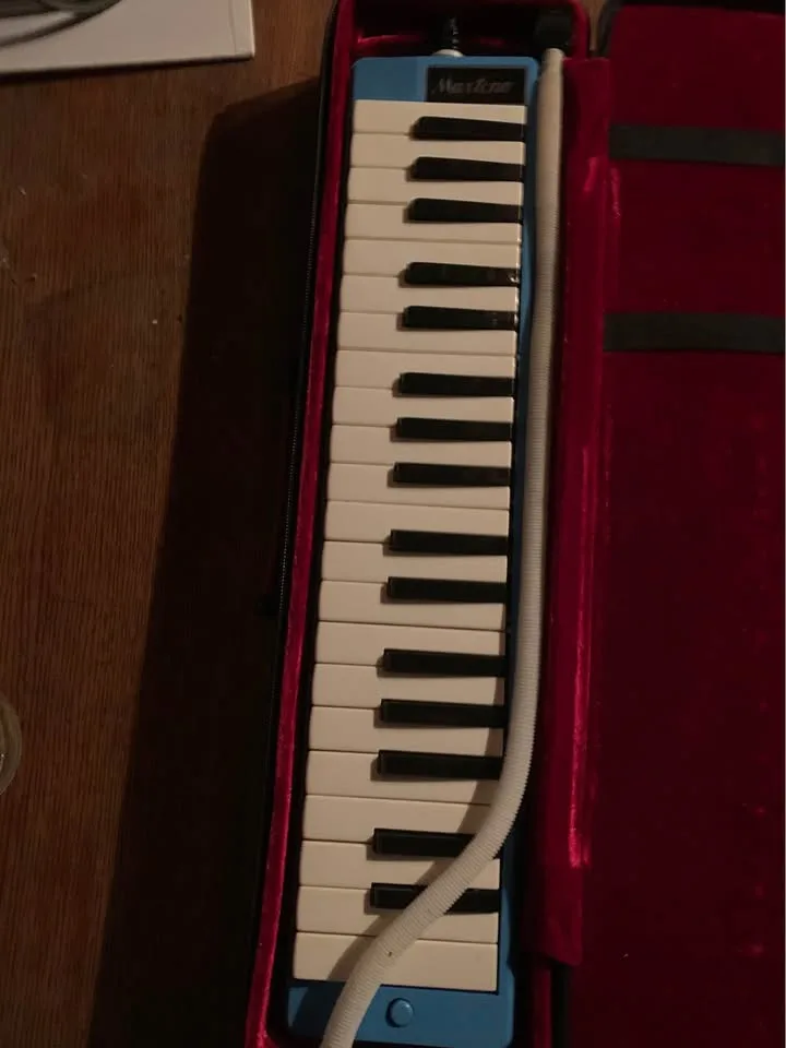 Maxtone Melodica image indicator(2)