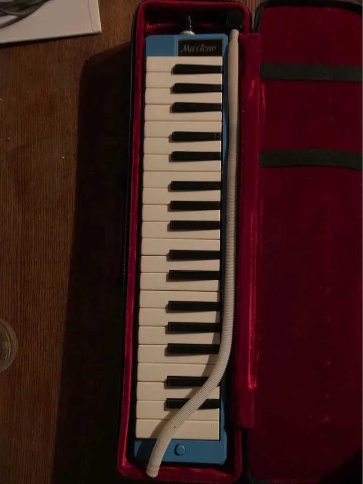 Maxtone Melodica image indicator(3)