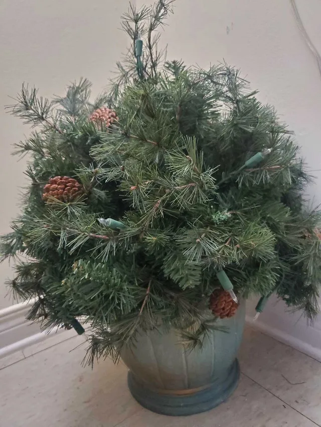 Potted Christmas tree