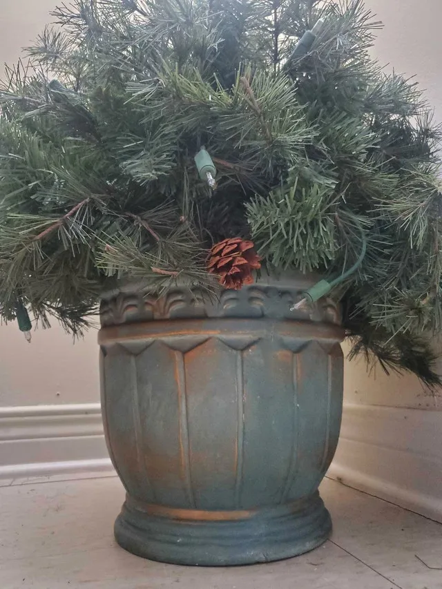 Potted Christmas tree image indicator(2)