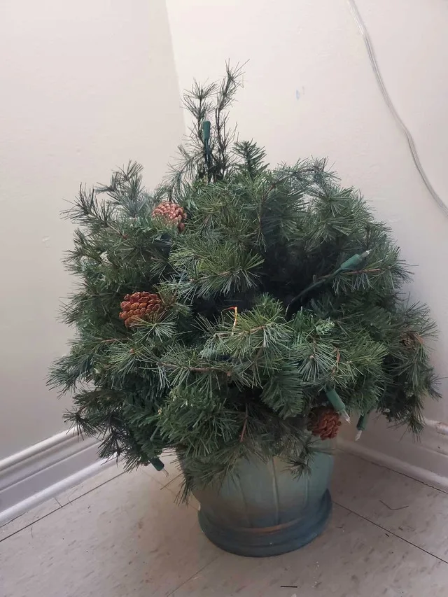 Potted Christmas tree image indicator(4)