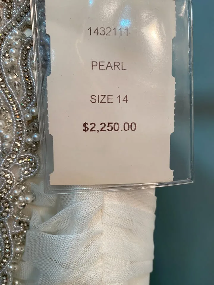 Mikaella Bridal Size 14 Wedding Dress image indicator(8)