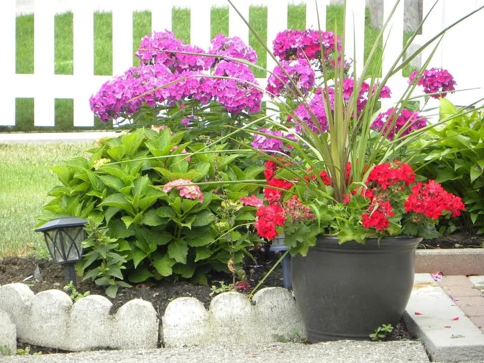 Nikon p90 digital camera image indicator(5)