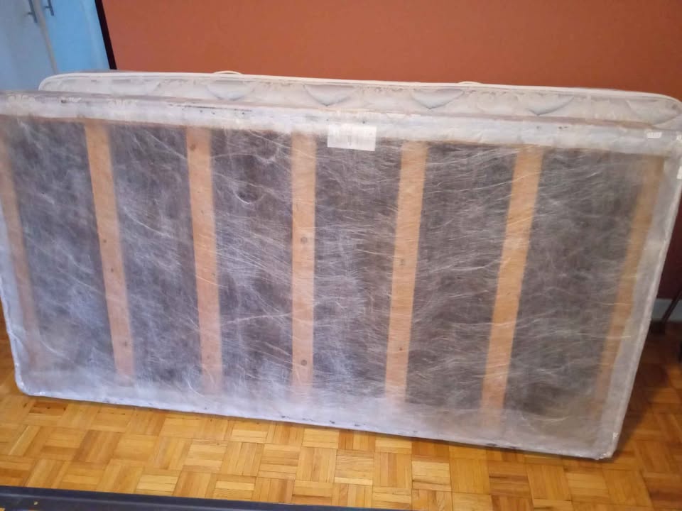 Twin Bed - photo 3