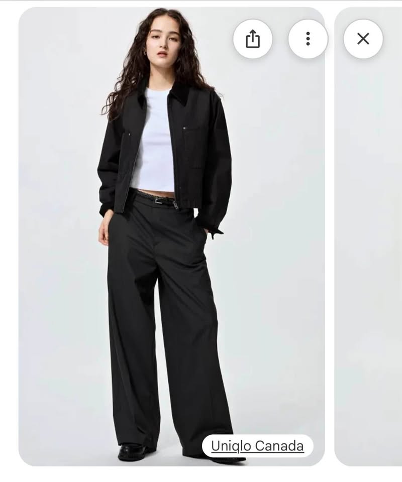 Uniqlo Smart Wide Pant
