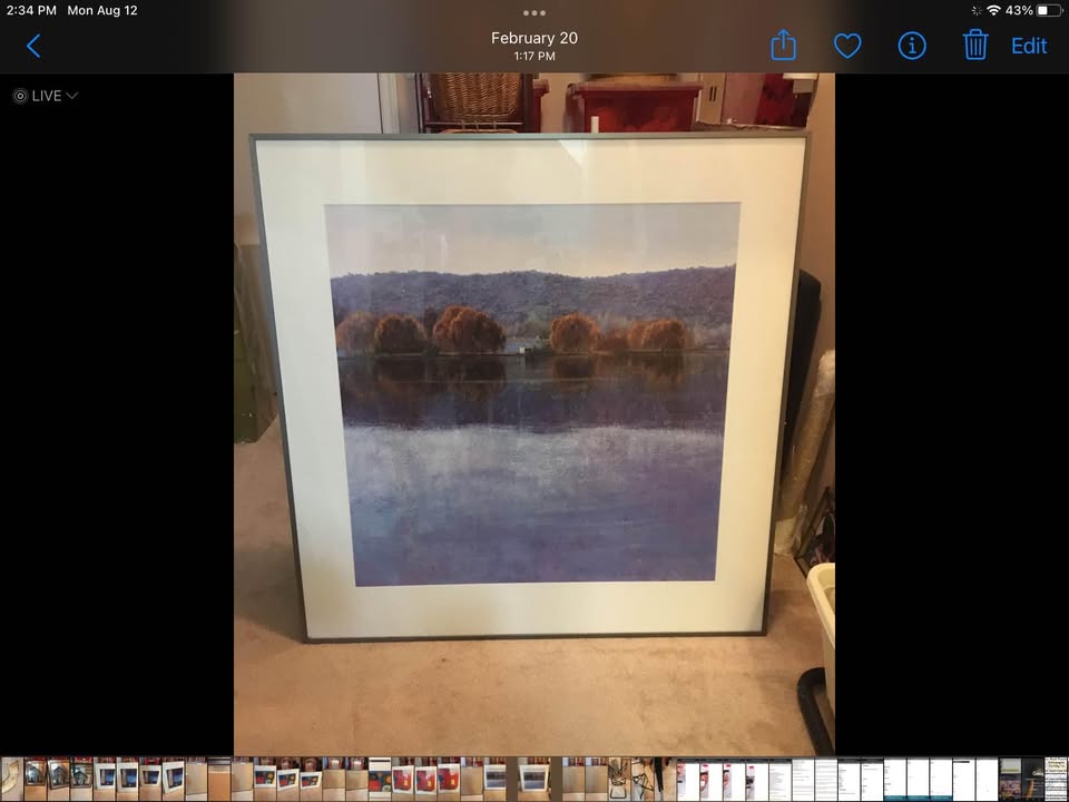 Gallery Framed Print - Lakeview