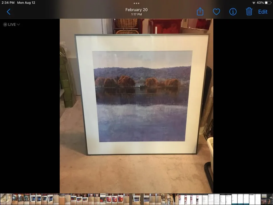 Gallery Framed Print - Lakeview image indicator(2)