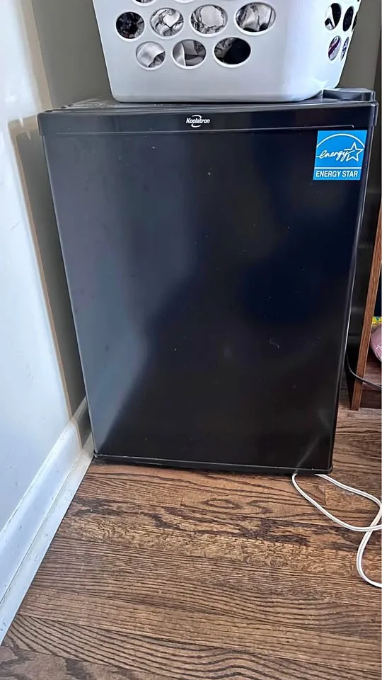 Mini fridge 🥕