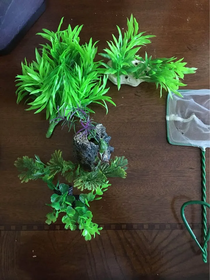 Bow Front Aquarium with lights and lid image indicator(3)