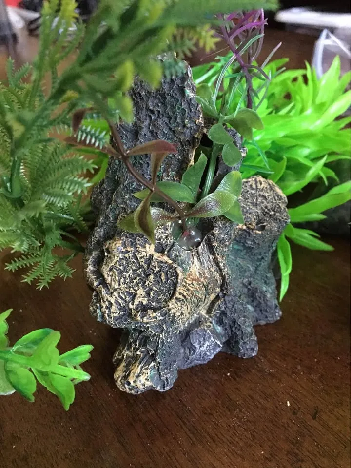 Bow Front Aquarium with lights and lid image indicator(5)