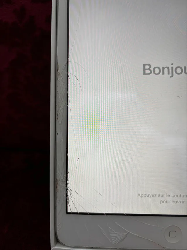 iPad mini 2 32gb cracked screen image indicator(3)