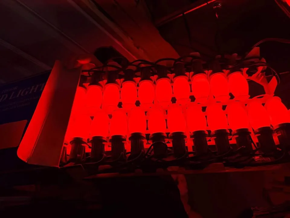 Vintage New Christmas C9 Red Lights 25ft Lot of 3 image indicator(3)