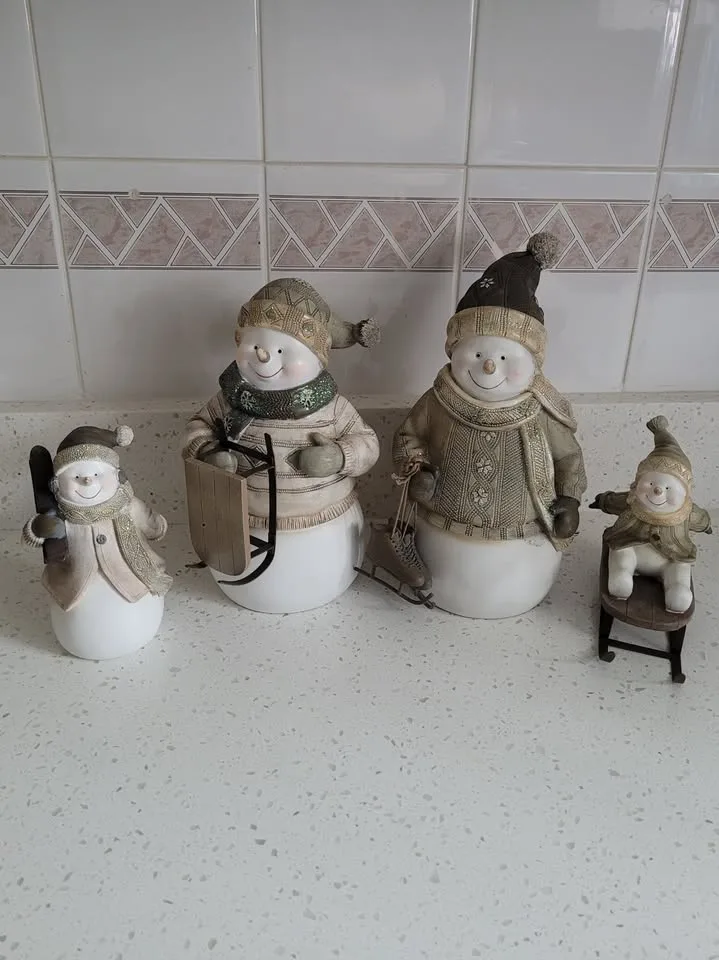 Snow Family Display image indicator(2)