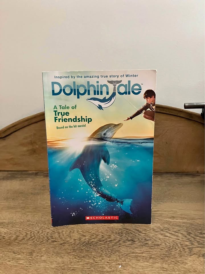 Dolphin Tale A Tale of True Friendship