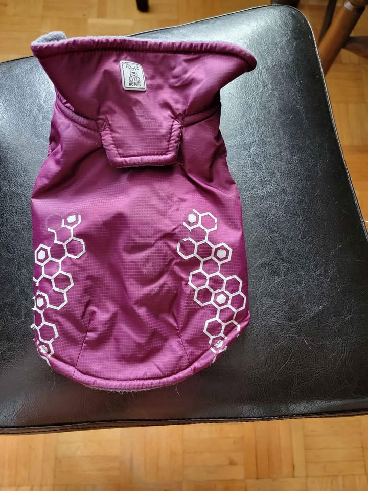 Puppy/small dog jacket  Pick up- Markham & Eglinton