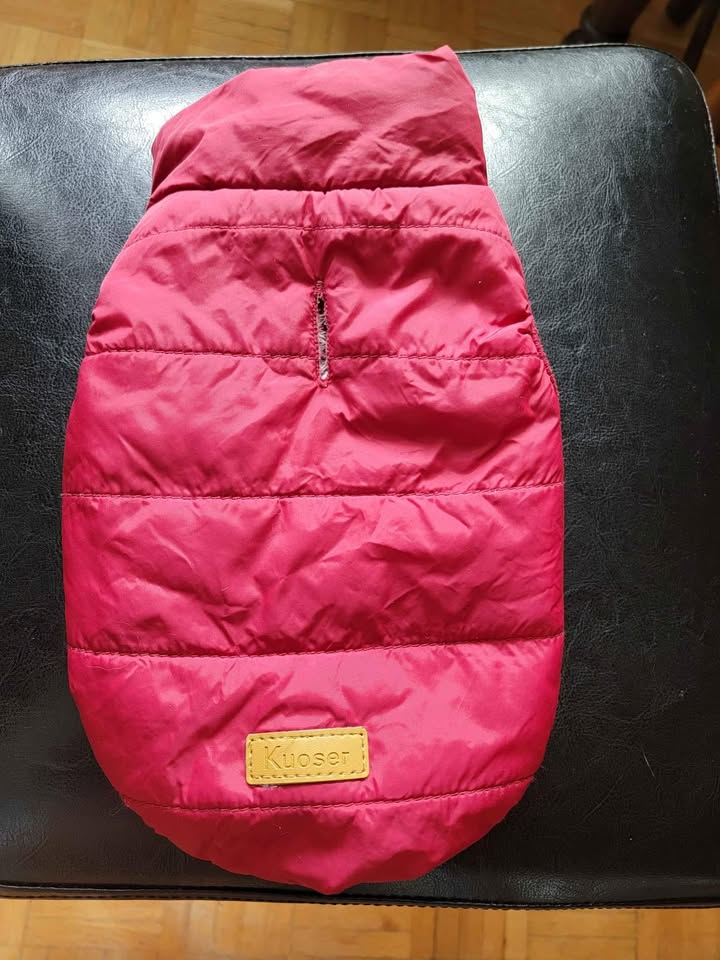 Puppy/small dog winter coat