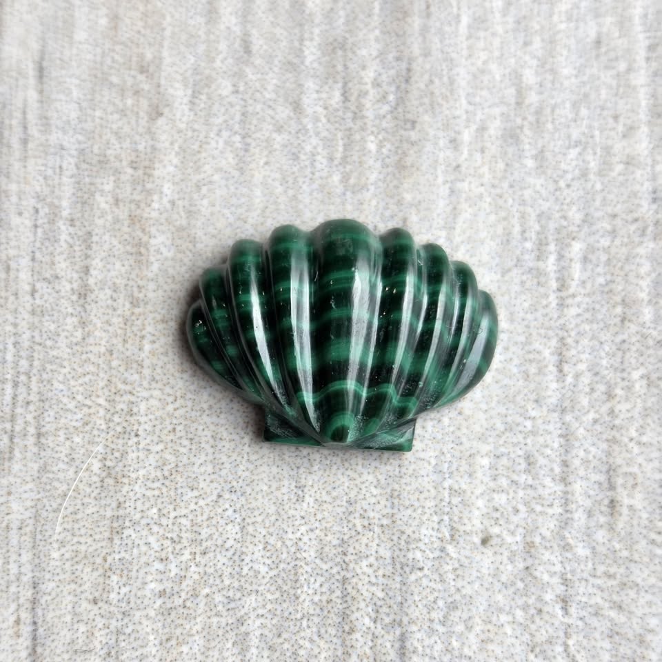 Malachite. Carved shell. - photo 4
