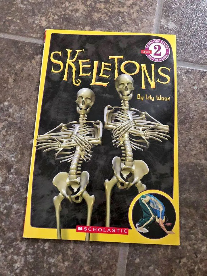 Skeletons by Lily Wood - Scholastic Reader Level 2 thumbnail
