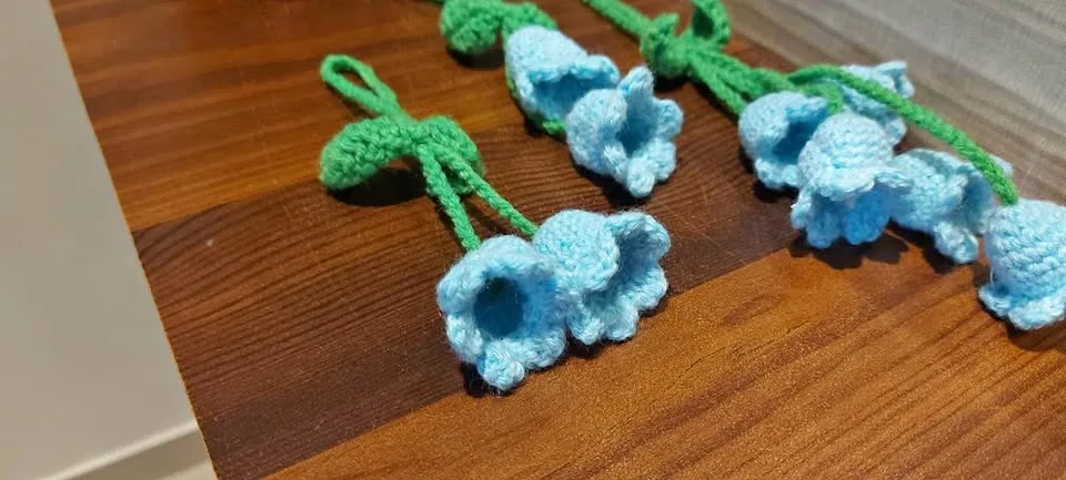 🌿✨ Handmade Crochet Hangings – Tiny Touches, Big Charm! 🧶🚗🏠