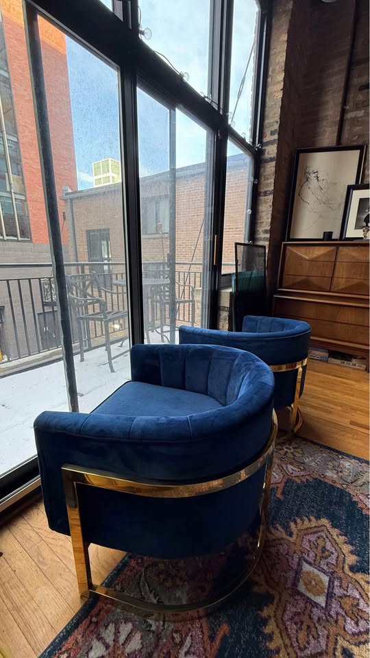 Meridian Carter Velvet Accent Chairs 🥕 - photo 3