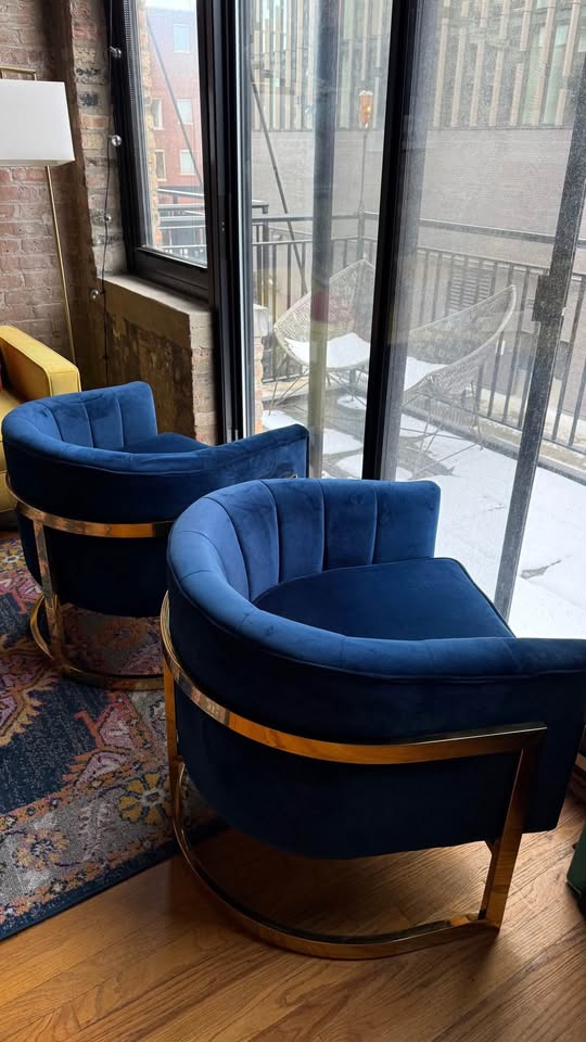 Meridian Carter Velvet Accent Chairs 🥕 - photo 4