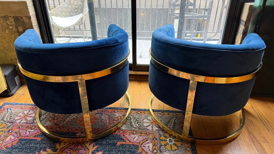 Meridian Carter Velvet Accent Chairs 🥕 - photo 5