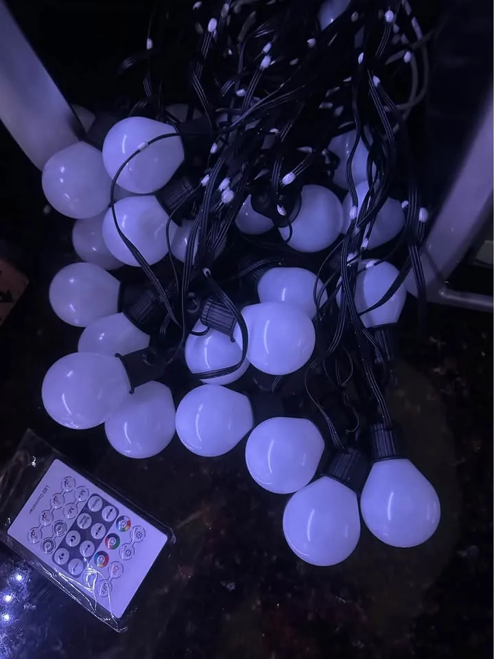 Christmas/app ,remote control Outdoor stings lights image indicator(3)