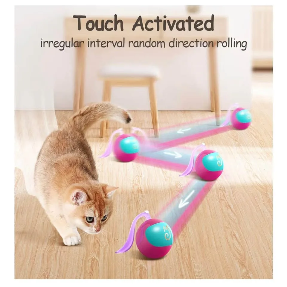 Cat interactive toy-new /rechargeable image indicator(6)