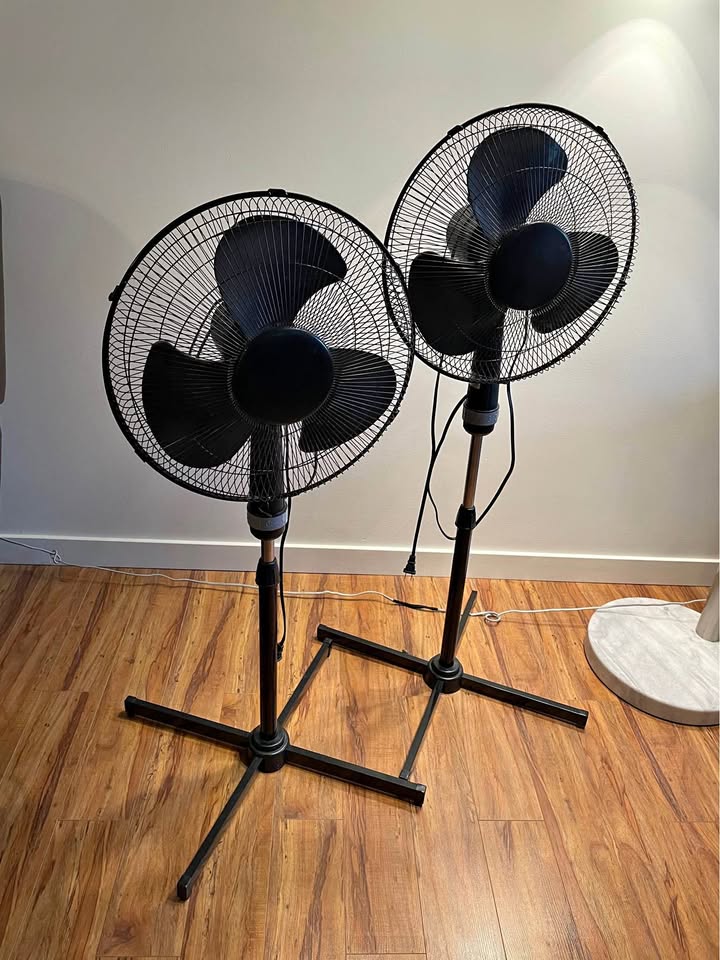Black Standing Fan