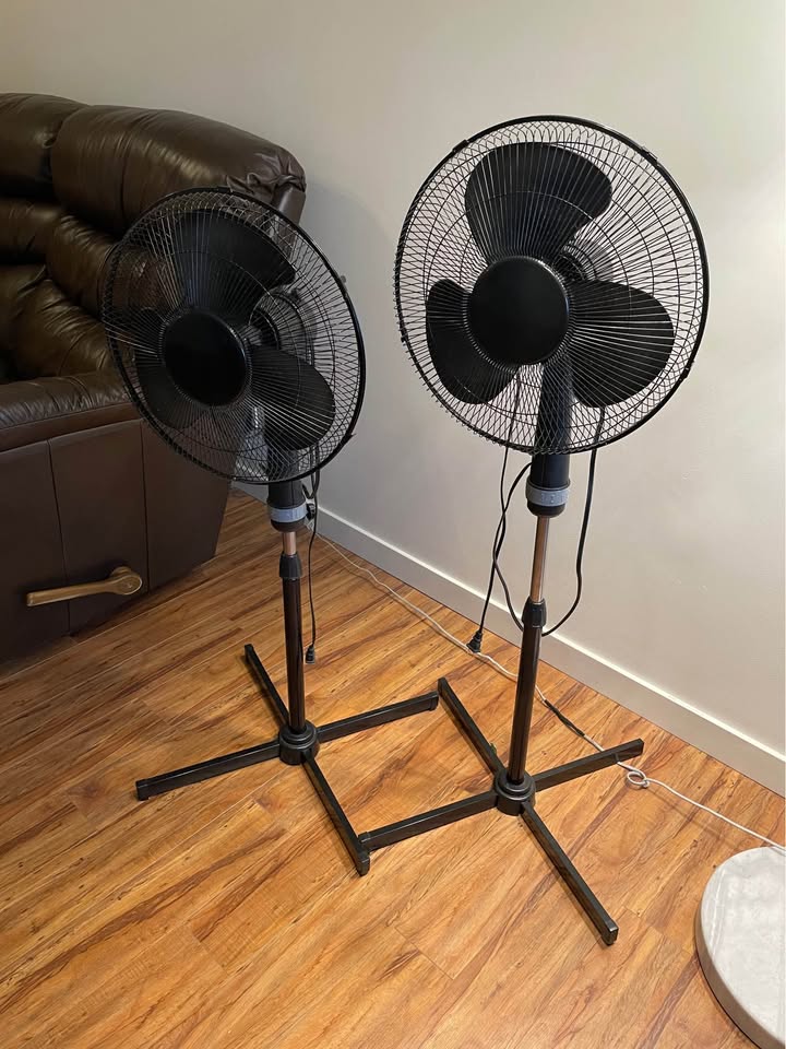 Black Standing Fan - photo 2