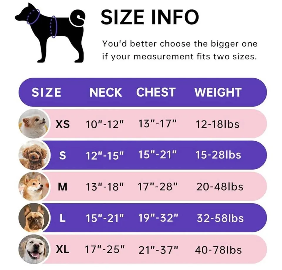 Dog harness size XL/purple with seatbelt image indicator(3)