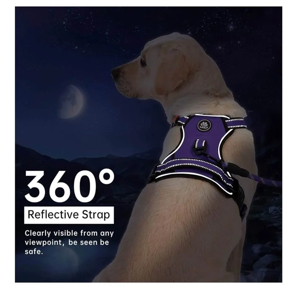 Dog harness size XL/purple with seatbelt image indicator(4)