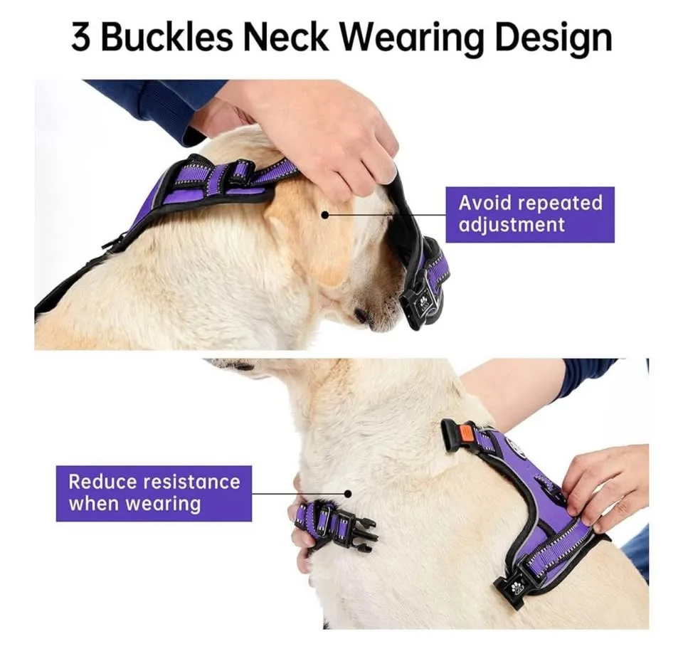 Dog harness size XL/purple with seatbelt image indicator(5)