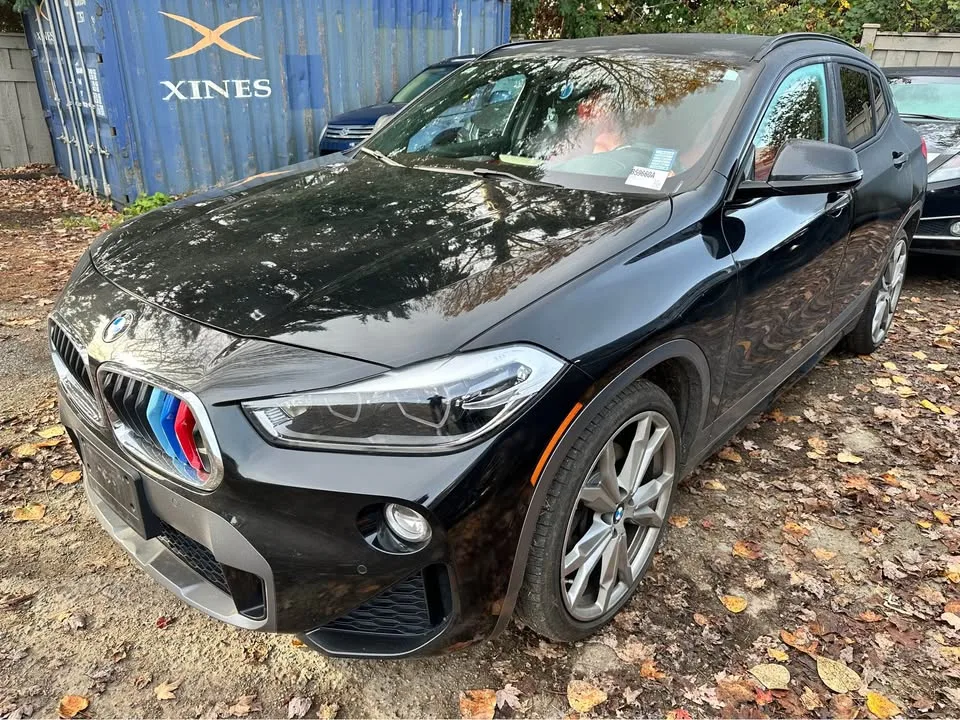 2018 BMW X2 xDrive28i image indicator(2)